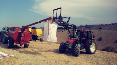 L'orto di Nisetta - foto numero 10