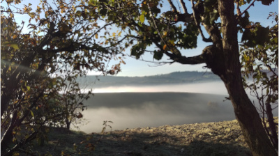 L'orto di Nisetta - foto numero 11