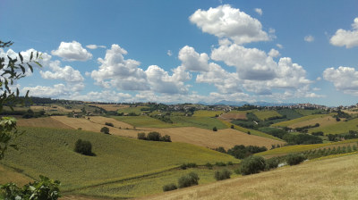 L'orto di Nisetta - foto numero 13