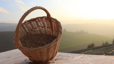 L'orto di Nisetta - foto numero 3