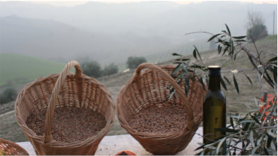 L'orto di Nisetta - foto numero 5