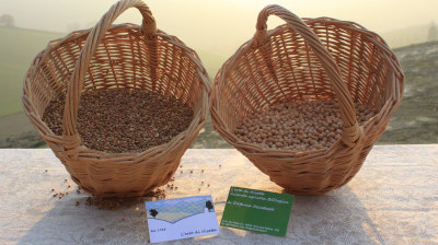 L'orto di Nisetta - foto numero 7