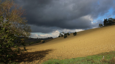 L'orto di Nisetta - foto numero 8