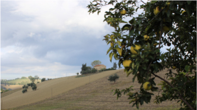 L'orto di Nisetta - foto numero 9