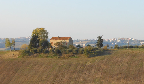 immagine 1 slider home l'orto di nisetta