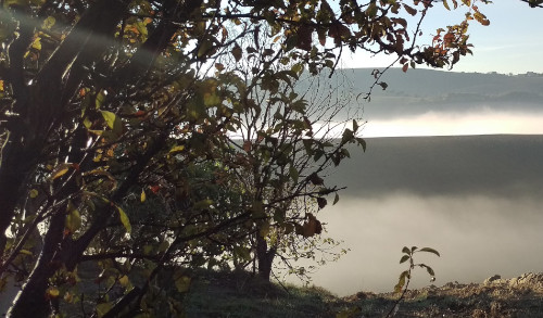 immagine 2 slider home l'orto di nisetta