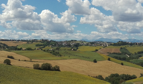 immagine 3 slider home l'orto di nisetta