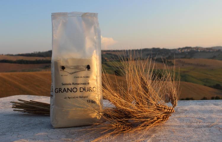 Semola rimacinata di grano duro